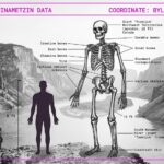 Realistic archival photograph of the Nahanni Valley showing a 12-foot Toonijuk giant skeleton compared to a 6-foot human silhouette with tactical HUD data.