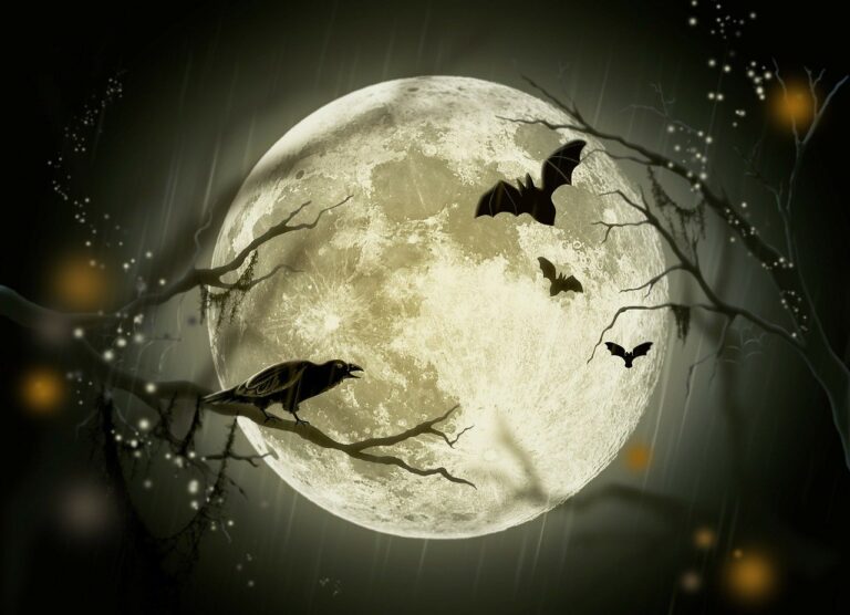 halloween, holidays, mystery, fairy tale, moon, crow, drawing, design, postcard, happyhalloween, halloween, halloween, halloween, halloween, halloween, moon, moon-72939.jpg