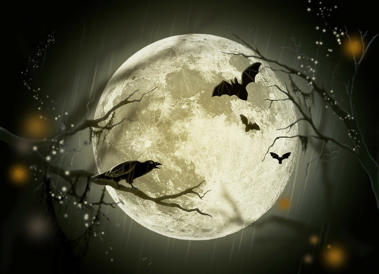 halloween, holidays, mystery, fairy tale, moon, crow, drawing, design, postcard, happyhalloween, halloween, halloween, halloween, halloween, halloween, moon, moon-72939.jpg