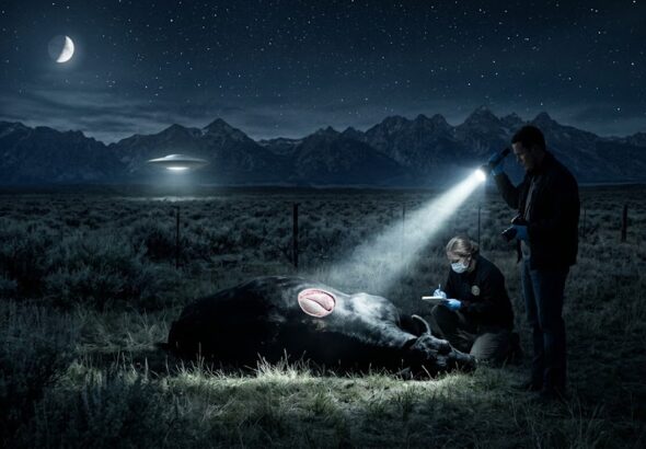 Forensic visualization of a cattle mutilation site with a UAP in the background.